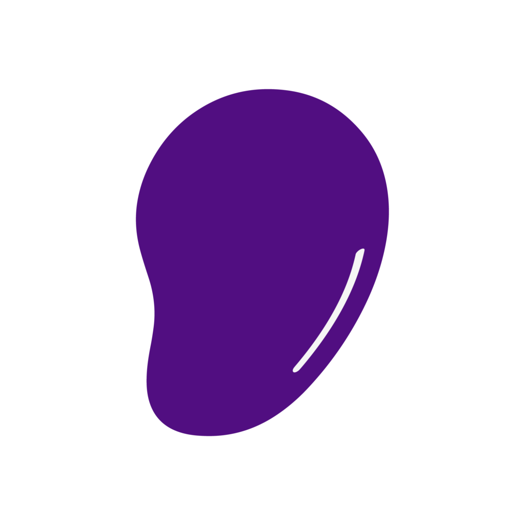 Purple Mango